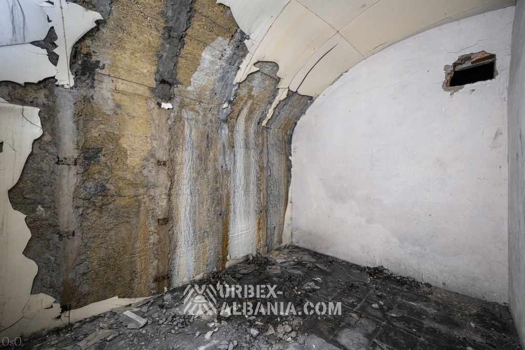 Bunker V-GJ with a Mummified Dog
