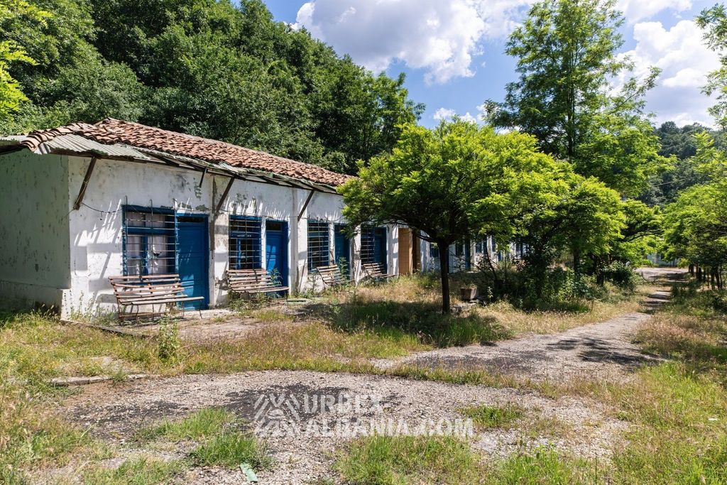 Baraquement de chambres vu de l'autre côté, envahi par l'herbe et les buissons