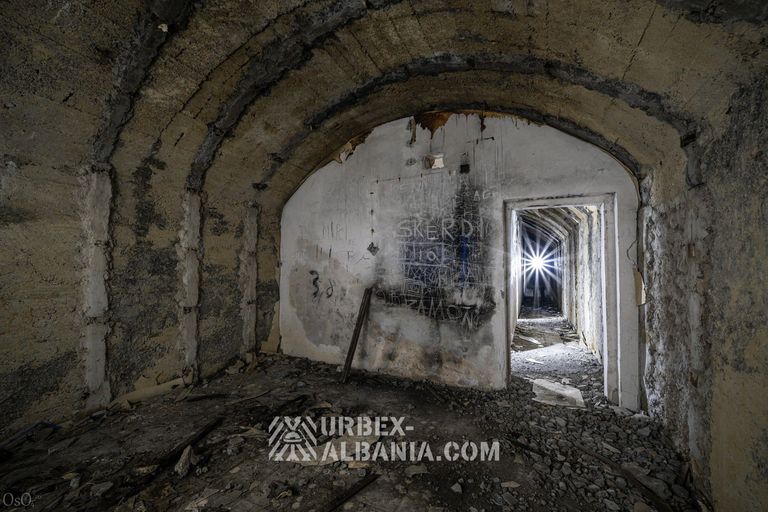 Bunker V-GJ mit dem mumifizierten Hund