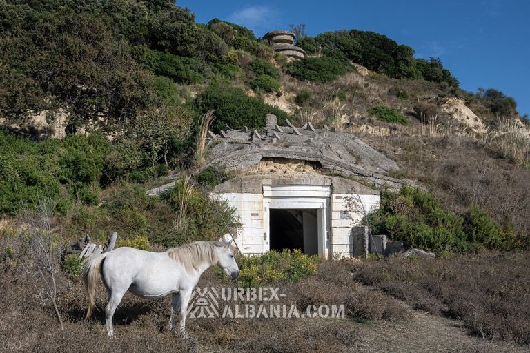 Bunker di Artiglieria Costiera D-QU