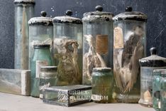 Opuszczona Szkoła we Wsi B-OM