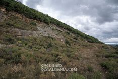 Bunkers d'Artillerie T-BL avec Tunnels