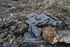 Coal Mining Complex Mine K-OD