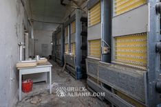 Allevamento di Polli