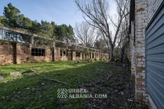 Allevamento di Polli