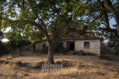 Abandoned Village T-UP