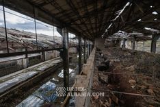 Fabrika e Tullave K-Y