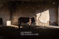 Garages Souterrains T-ZA