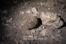 Lagertunnel B-HM mit Druckschutztüren