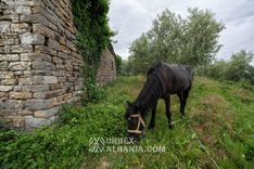 Verlassenes Dorf E-RV