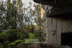 Bunkerët e Artilerisë T-LR përgjatë Kodrës