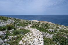 Bunkers d'Artillerie Côtière V-AC