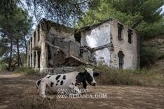 Bunkeri T-LV me një sallë operacionale