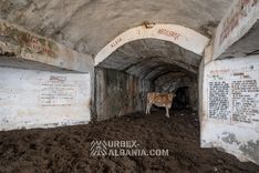 Bunkers d'Artillerie Côtière V-AC