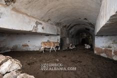 Bunkers d'Artillerie Côtière V-AC