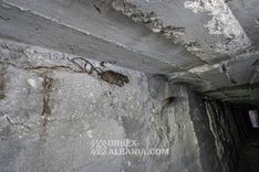Postazione di Difesa Aerea V-HD con Bunker