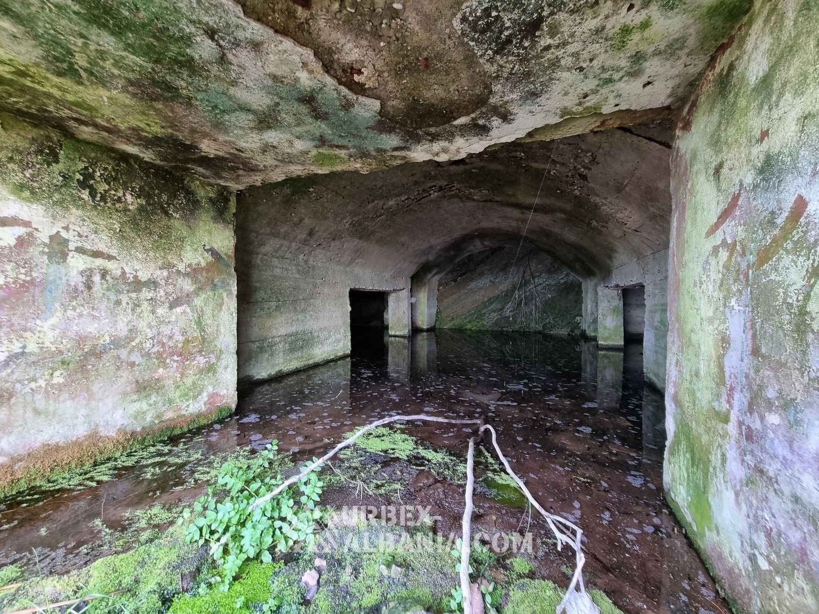 Bunkers d'Artillerie Côtière T-FP