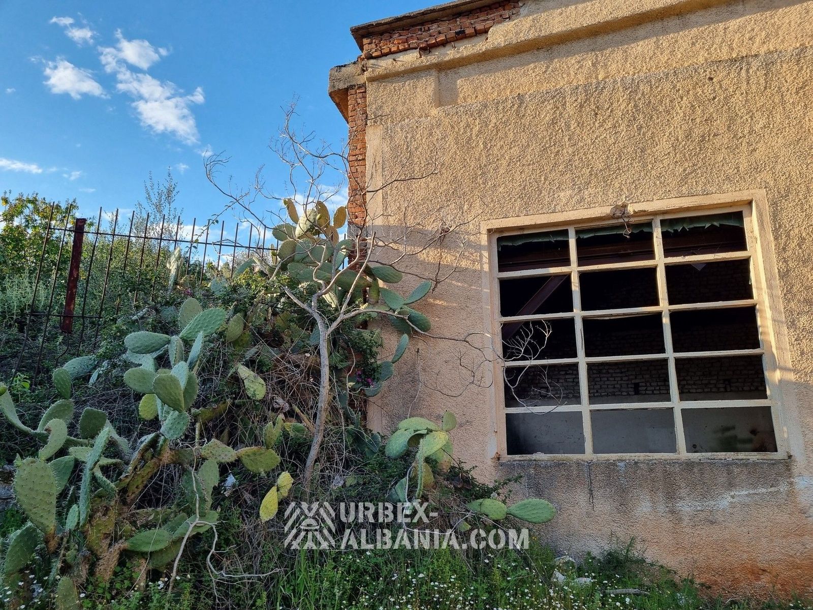 Taller Mecánico