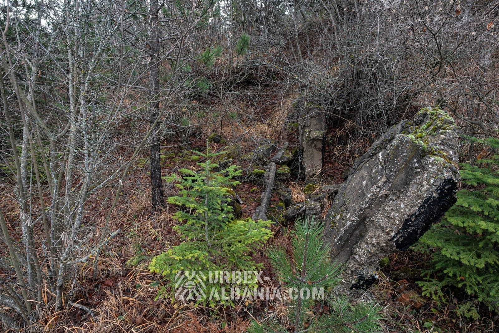 Coal Mining Complex Mine K-OD