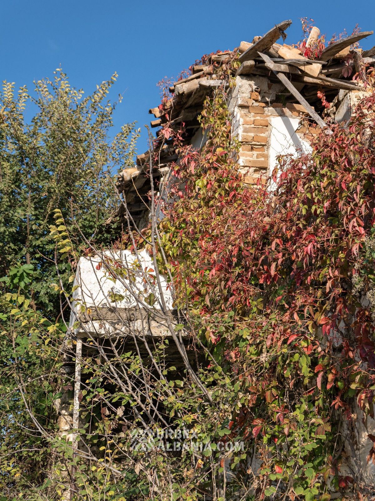 Abandoned Village T-ZY
