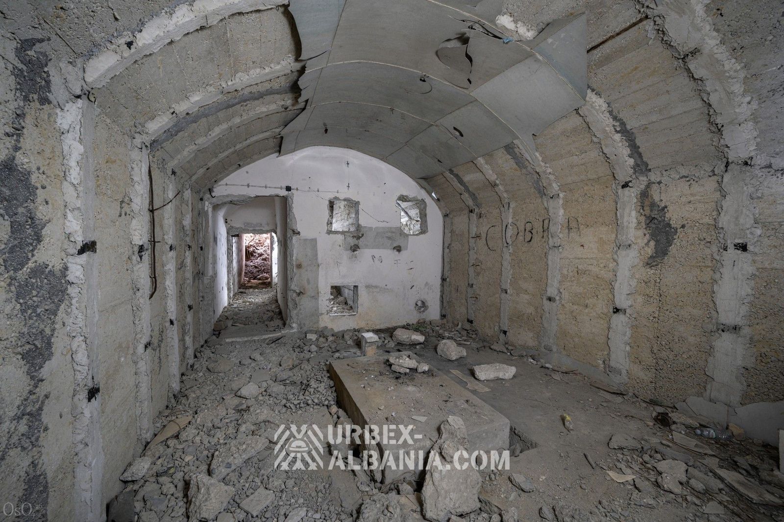 Bunker V-GJ avec le chien momifié