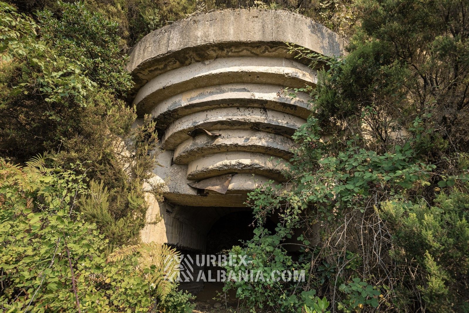 Bunkerët e Artilerisë T-LR përgjatë Kodrës