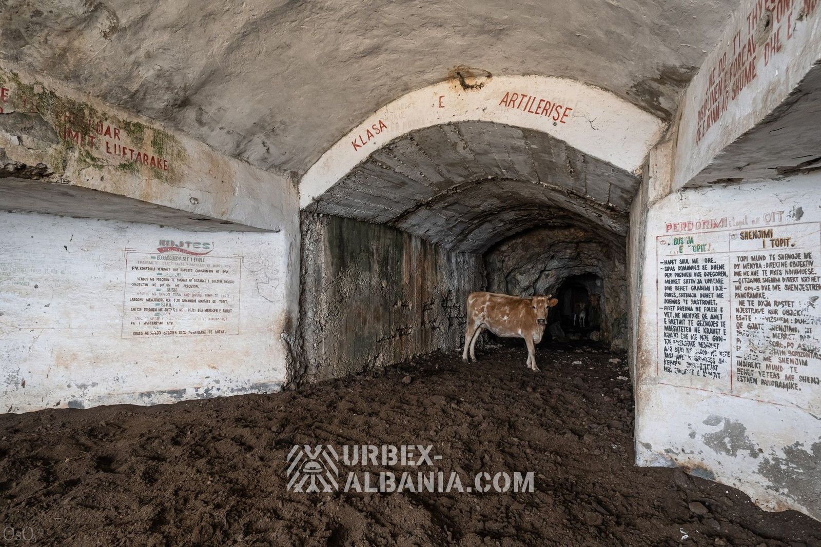 Bunkers d'Artillerie Côtière V-AC
