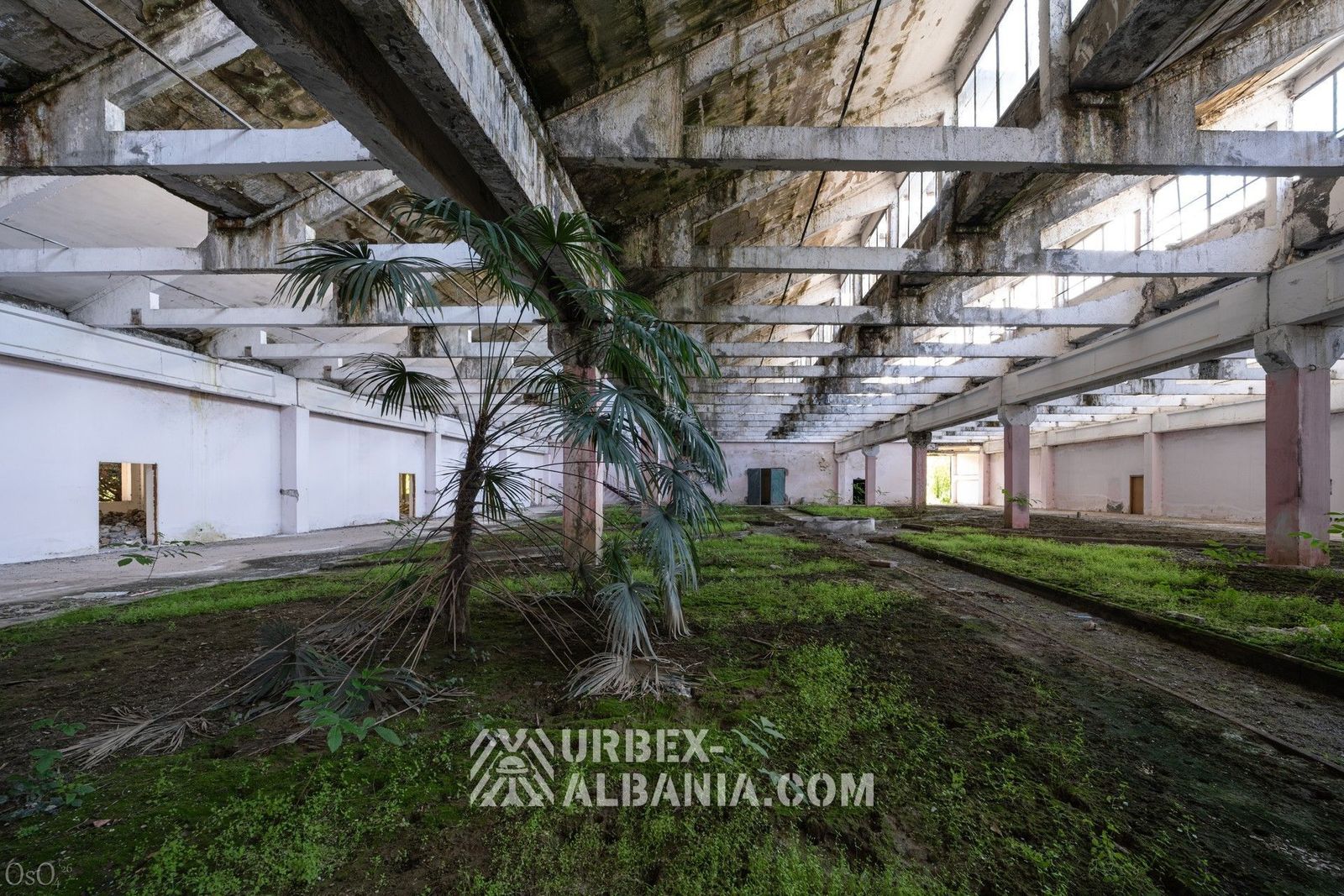 Universität in einer ehemaligen Fabrikhalle